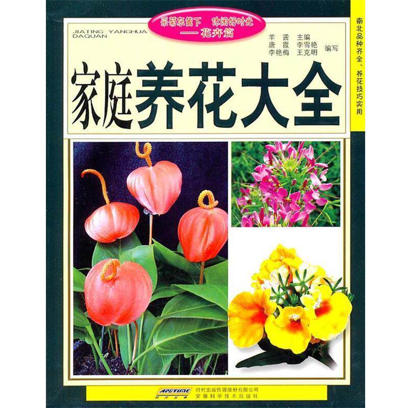 【正版书】 家庭养花大全 羊茜 主编 安徽科学技术出版社