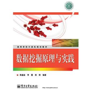 【正版书】 数据挖掘原理与实践 蒋盛益,李霞,郑琪著 电子工业出版社