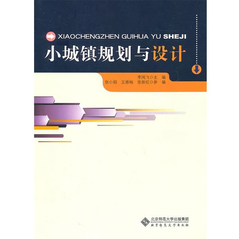 【正版书】 小城镇规划与设计 李鸿飞　主编 北京师范大学出版社