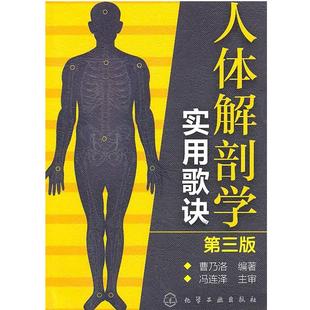 正版 化学工业出版 书 曹乃洛 社 人体解剖学实用歌诀