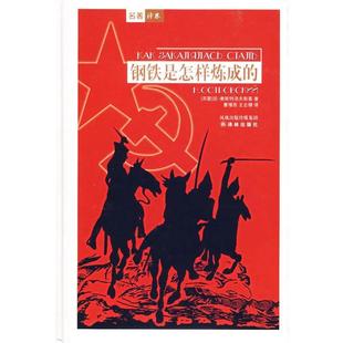 【正版书】 钢铁是怎样炼成的 (苏)奥斯特洛夫斯基 著,曹缦西,王志棣 译 译林出版社