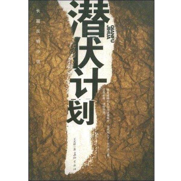 【正版书】 潜伏计划 王天祥 长江出版社