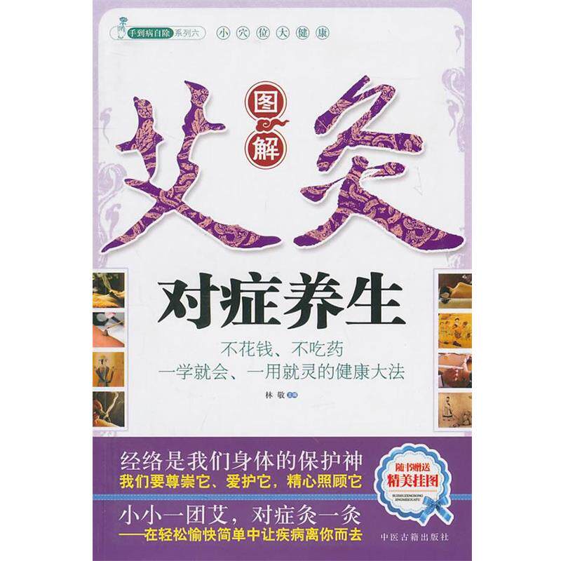 【正版书】 图解艾灸对症养生 林敬 等主编 中医古籍出版社