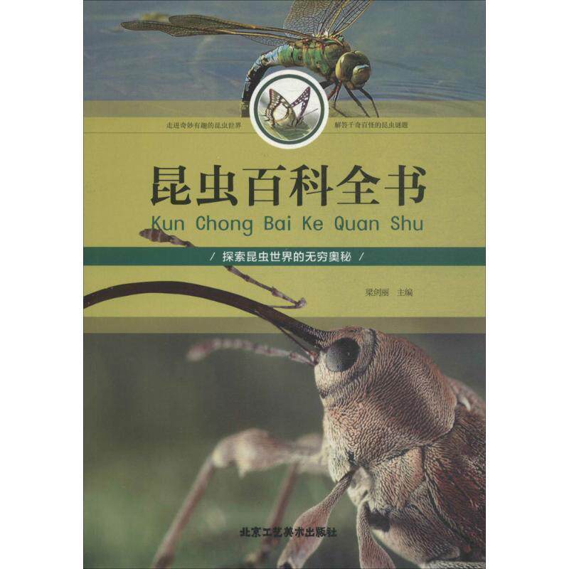 【正版书】 昆虫百科全书 梁剑丽 主编 北京工艺美术出版社