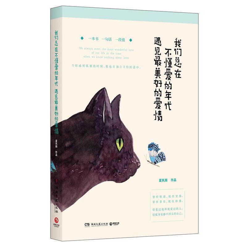 【正版书】 我们总在不懂爱的年代,遇见好的爱情 夏风颜 著 湖南文艺出版社