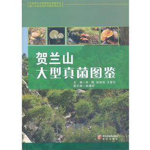 【正版书】 贺兰山真菌图鉴 宋刚 ,宋丽华 ,王黎元 编 阳光出版社