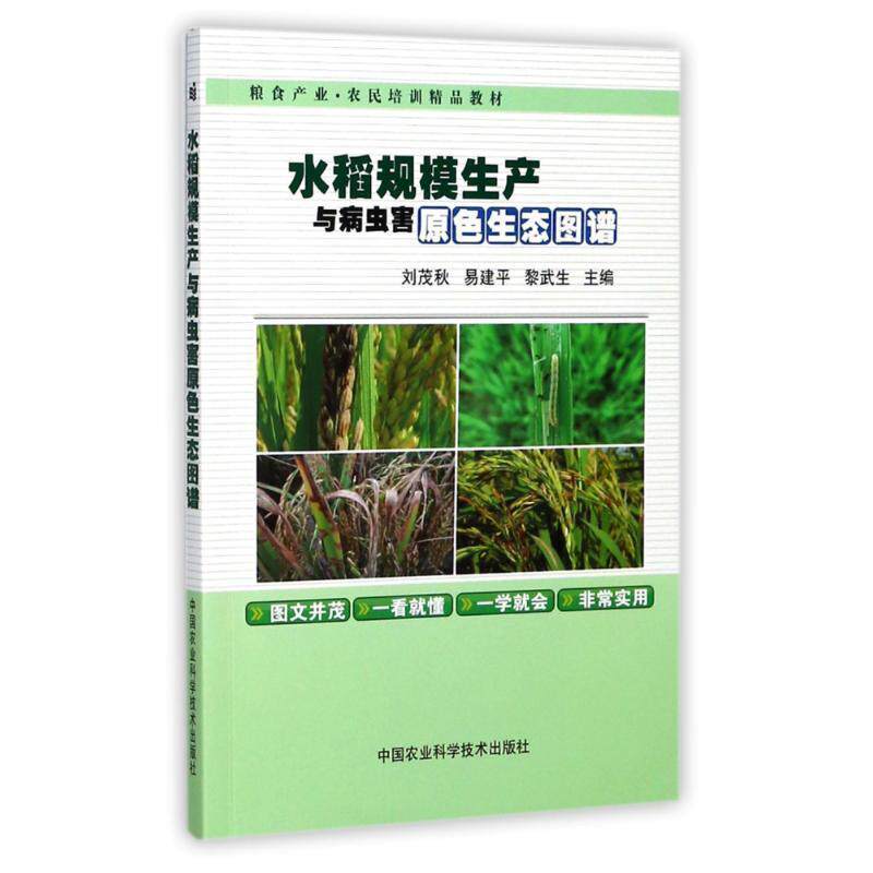 【正版书】 水稻规模生产与病虫害原色生态图谱 刘茂秋,易建平,黎武生 中国农业科学技术出版社