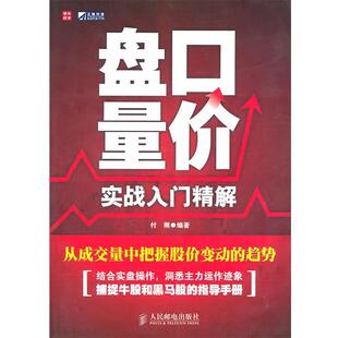 【正版书】 盘口量价实战入门精解 付刚　编著 人民邮电出版社