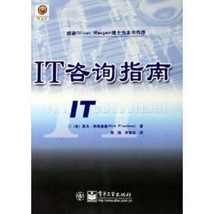李商龙 书 IT咨询指南 IT丛书 弗里德曼 周强 译 著 solvento Freedman 社 电子工业出版 美 正版