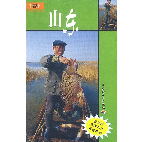 【正版书】 zx山东 张允平 著 中国轻工业出版社