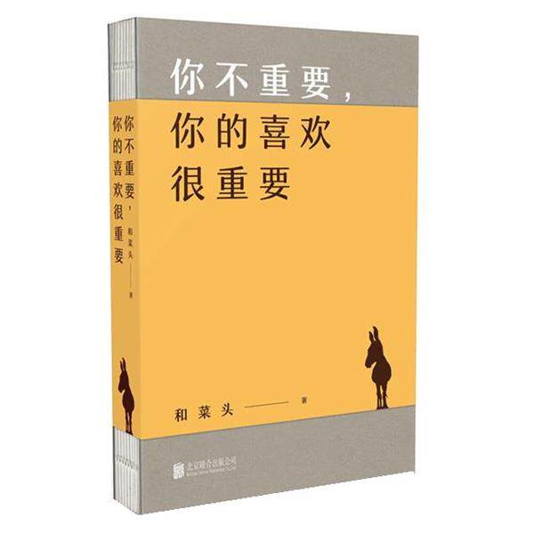 【正版书】 你不重要 你的喜欢很重要 和菜头 北京联合出版公司