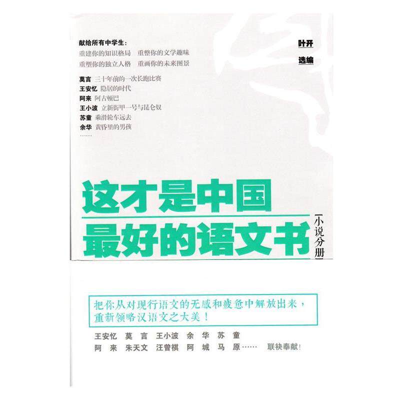 【正版书】 这才是中国的语文书 小说分册 叶开 江苏文艺出版社