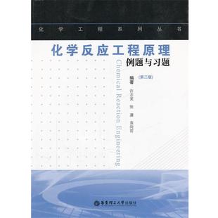 【正版书】 化学反应工程原理例题与习题 许志美,张濂,袁向前 主编 华东理工大学出版社
