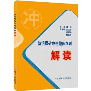 正版 煤炭工业出版 书 潘一山 社 防治煤矿冲击地压细则解读