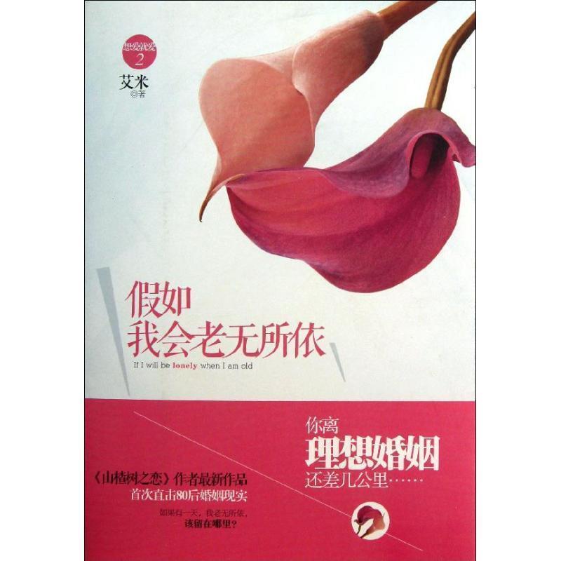 【正版书】 假如我会老无所依 艾米　著 长江文艺出版社