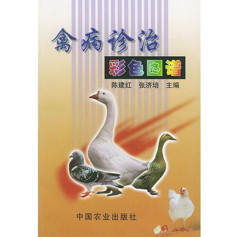 【正版书】 禽病诊治彩色图谱 陈建红,张济培 主编 中国农业出版社