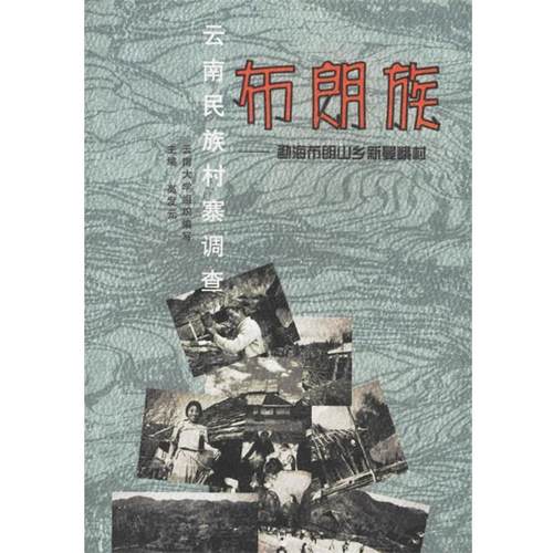 【正版书】 云南民族村寨调查:布朗族 高发元 主编 云南大学出版社