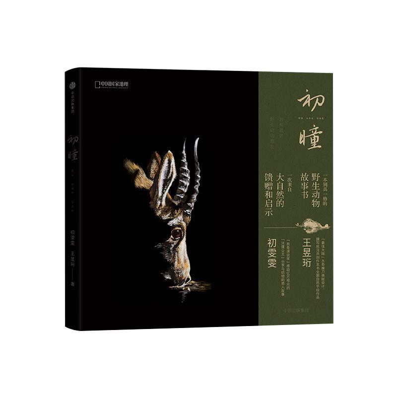 【正版书】 初瞳:我和我的野生动物朋友 初雯雯,王昱珩 著 中信出版集团出版社