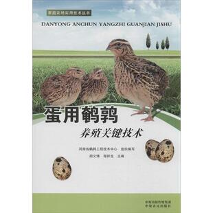 【正版书】 蛋用鹌鹑养殖关键技术 胡文博,程祥生　主编,河南省鹌鹑工程技术中心　组织 中原农民出版社