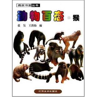 【正版书】 动物百态·猴 张昊,王洪伟 著 中国社会出版社