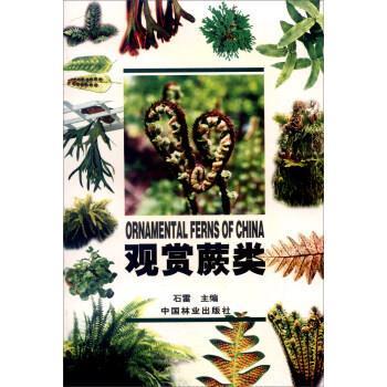 【正版书】 观赏蕨类 石雷 中国林业出版社