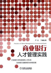 【正版现货】商业银行人才管理实践 严正、丁健维