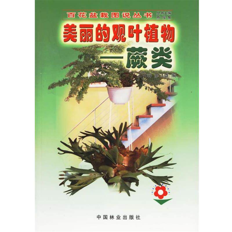 【正版书】 美丽的观叶植物：蕨类&mdash;&mdash;百花盆栽图说丛书 王代容,廖飞雄 编 中国林业出版社