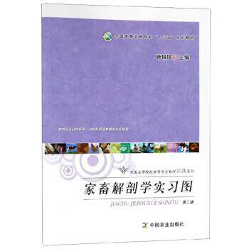 【正版书】 家畜解剖学实习图 杨银凤 编 中国农业出版社