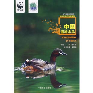 【正版书】 中国湿地水鸟 丁平,陈水华 编著 中国林业出版社
