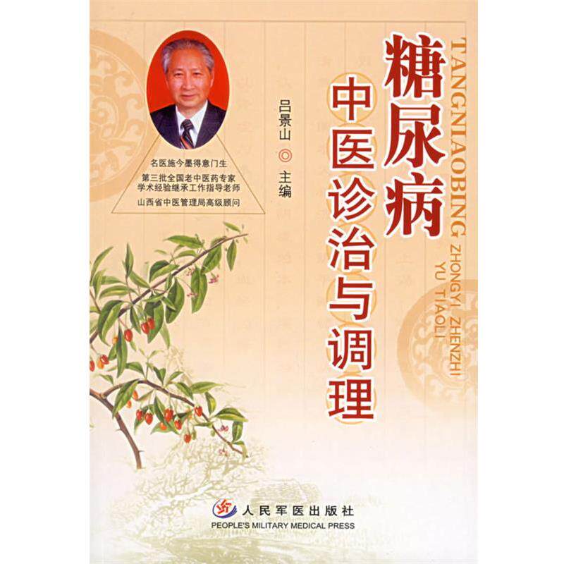 【正版书】 糖尿病中医诊治与调理 吕景山 主编 人民军医出版社