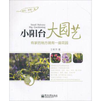 【正版书】 小阳台大园艺 王梓天 著 电子工业出版社