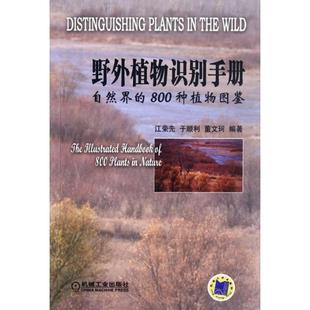 野外植物识别手册 江荣先 于顺利 机械工业出版 书 董文珂著 社 正版