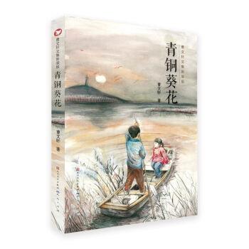 【正版书】 青铜葵花 曹文轩 人民文学出版社,天天出版社