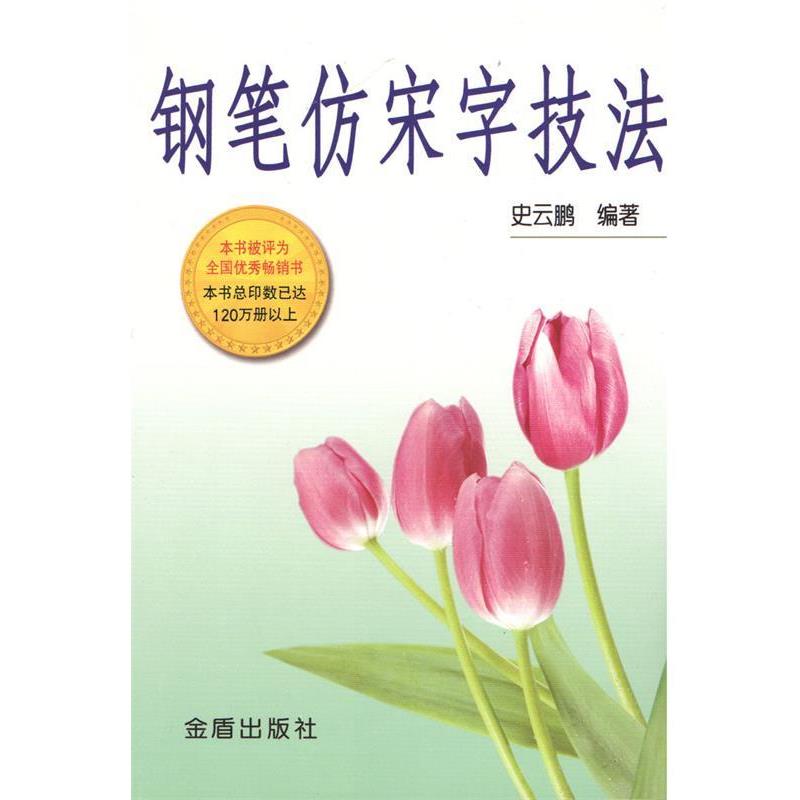 【正版书】 钢笔仿宋字技法 史云鹏 编著 总后金盾出版社