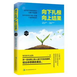 【正版书】 DF向下扎根 向上结果 林玉椿 吉林出版社