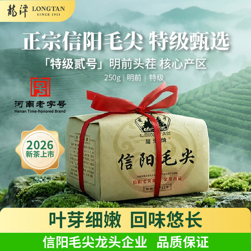 信阳毛尖特级明前嫩芽生活好茶