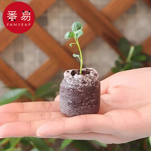 育苗盒AC1sq801-育苗块育种植花卉基质塑料育苗盆营养杯