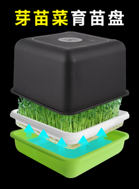 豆芽盆A1zoq001-豆芽发芽盆育苗盘芽苗水培盒发花生豆芽专用盆