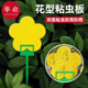 粘虫板B1pq801 小黄板粘虫板家用果蝇诱捕器小黑飞粘板双面小飞虫