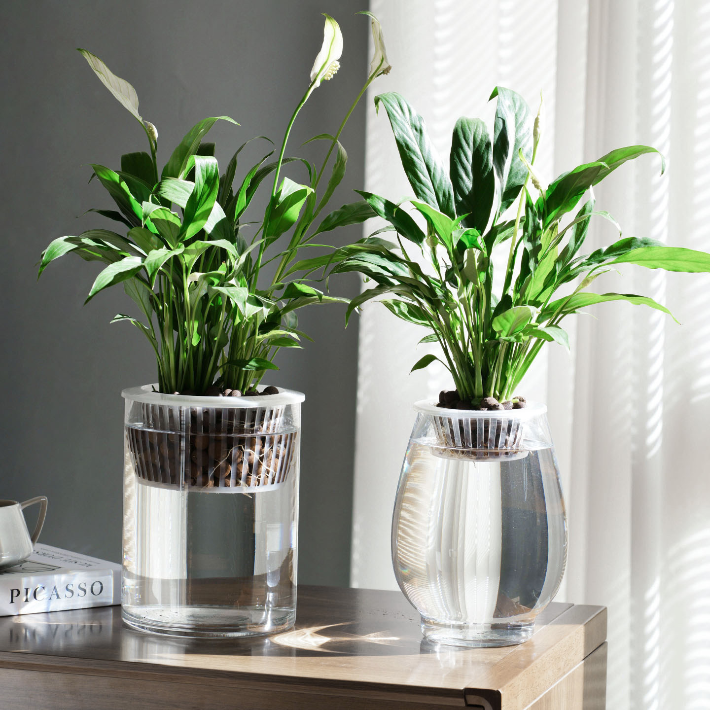 玻璃瓶水培植物透明玻璃花瓶容器绿萝花盆圆球形鱼缸水养小号器皿