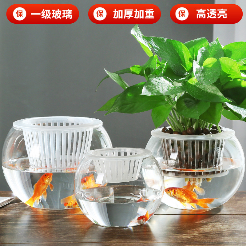 水培植物容器圆球形鱼缸玻璃瓶