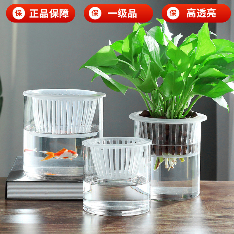简约水培植物玻璃瓶透明直筒圆柱形花瓶绿萝白掌水养玻璃容器鱼缸