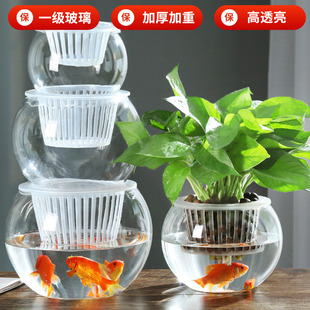 玻璃瓶水培植物透明玻璃花瓶容器綠蘿花盆圓球形魚缸水養(yǎng)小號器皿