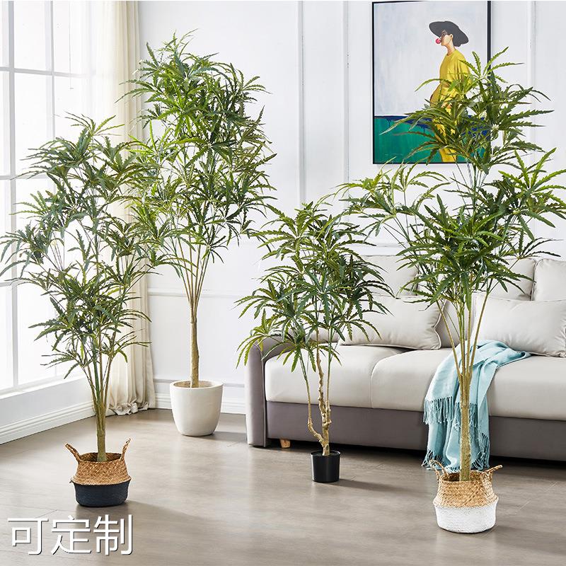 北欧仿真绿植孔雀木假盆栽树客厅大型植物网红落地盆景懒人摆件树