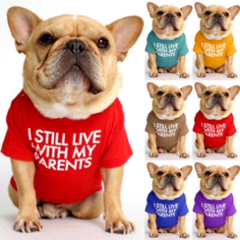 法斗衣服八哥巴沙皮牛犬