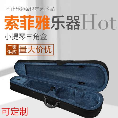 供应小提琴琴盒 三角双肩背 型号多种定做
