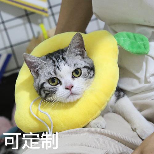 伊丽莎白防护圈 猫咪柠檬脖套脖圈 软萌棉头套宠物狗猫伊丽莎白圈