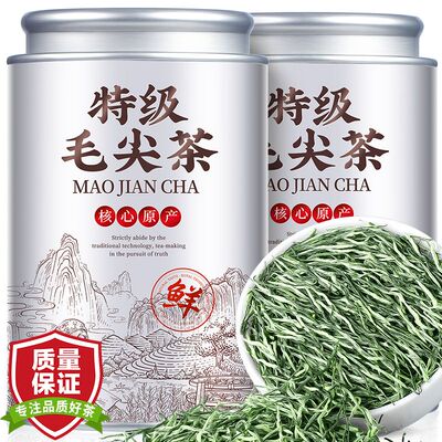 2025新茶特级毛尖茶浓香型绿茶