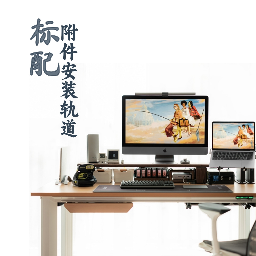 四腿四电机升降桌读立