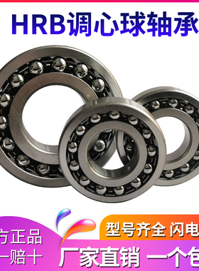 哈尔滨调心球轴承 1304 1305 1306 1307 1308 1309 ATN AKTN 轴承